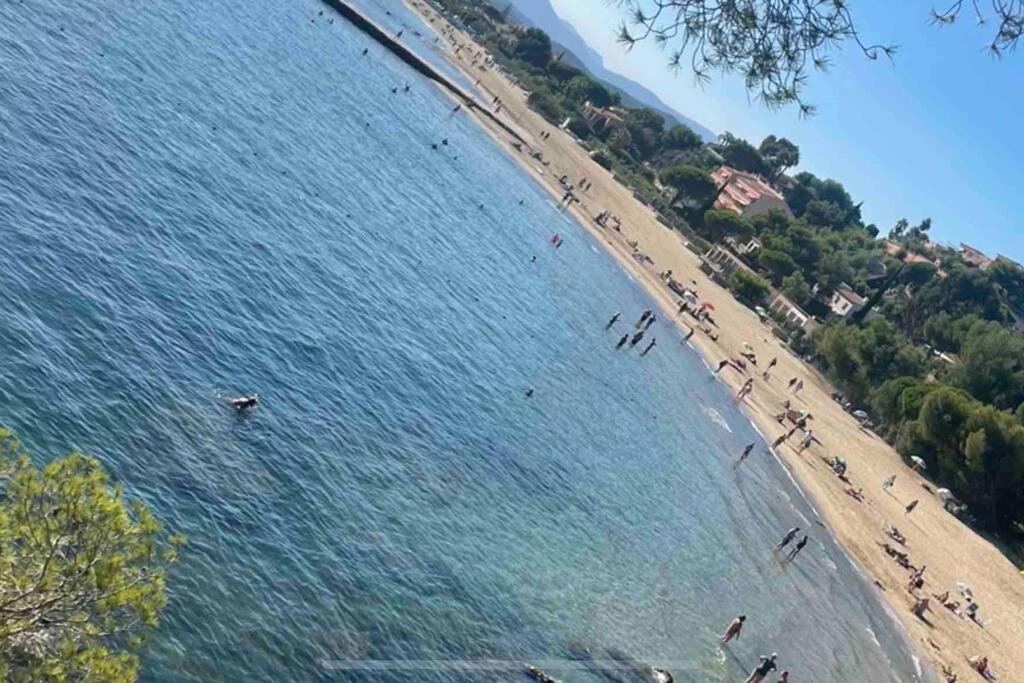 Studio Cosy Residence Odalys 3 Etoiles La Londe-les-Maures Zewnętrze zdjęcie